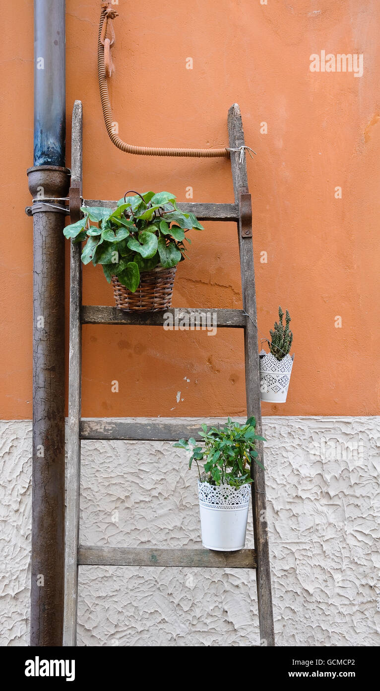 flower pots hanging from a wooden staircase Stock Photo Alamy