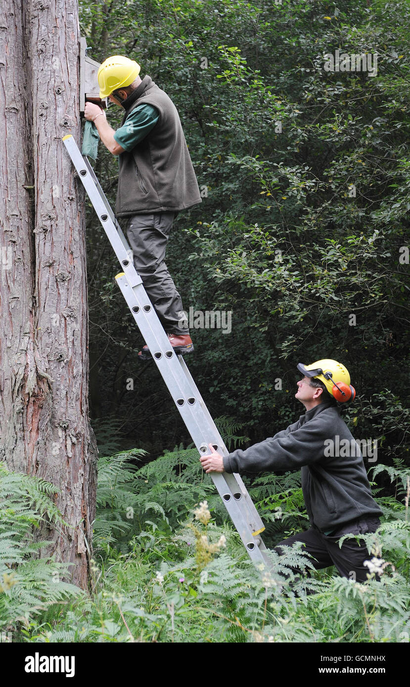 Forest commission ranger hi-res stock photography and images - Alamy