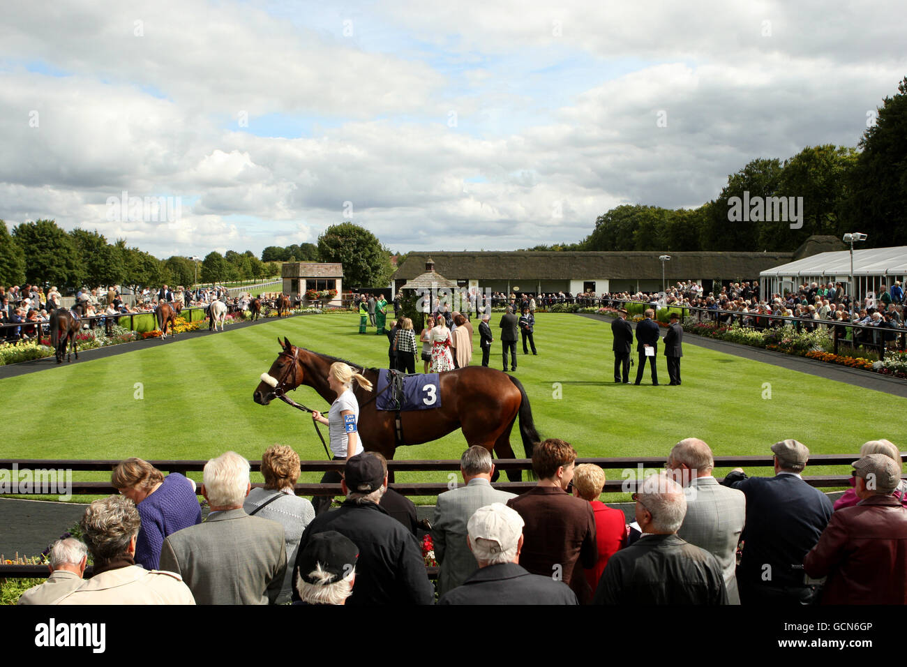 A general view of the parade ring on the July Course at Newmarket