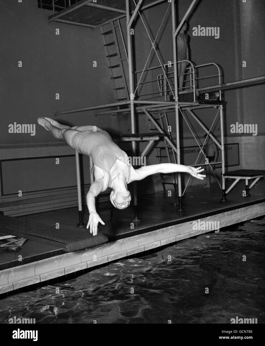 Miss Eunice Millar in action during training at the Ironmonger Baths for the Olympic Games in Melbourne. Stock Photo