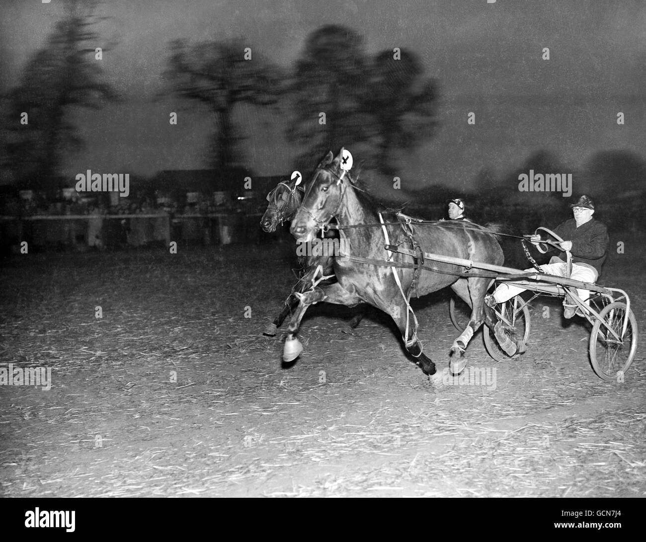 Horse Racing - Trotting Meeting at Ash Park - Middlesex Stock Photo