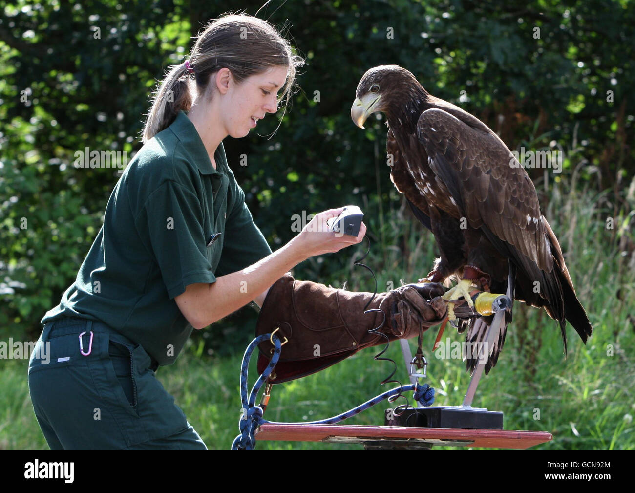 Blair Drummond Safari Park Stock Photo Alamy