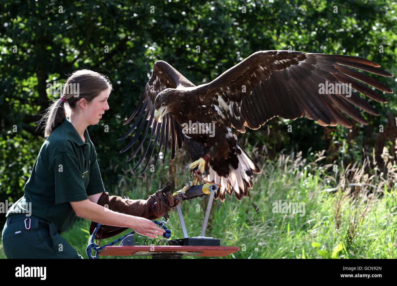 Blair Drummond Safari Park Stock Photo Alamy