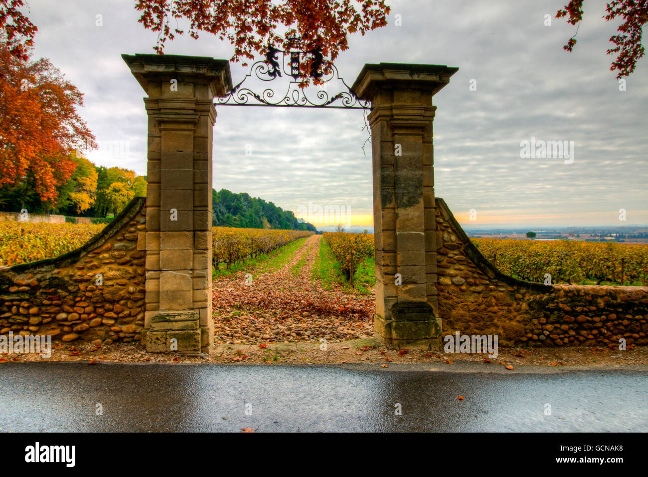 Grapevines at Chateau-la-Nerthe, France Stock Photo