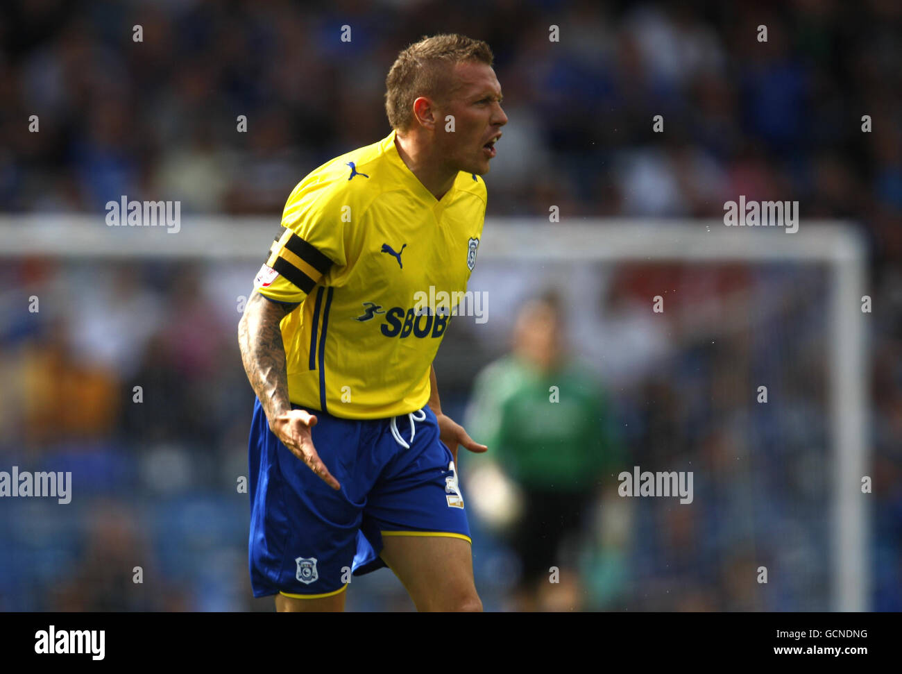 cardiff-citys-craig-bellamy-questions-a-referee-decision-during-the-GCNDNG.jpg