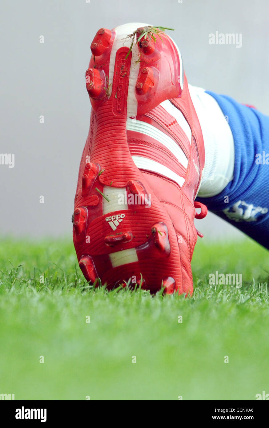 Adidas predator hi-res stock photography and images - Page 2 - Alamy