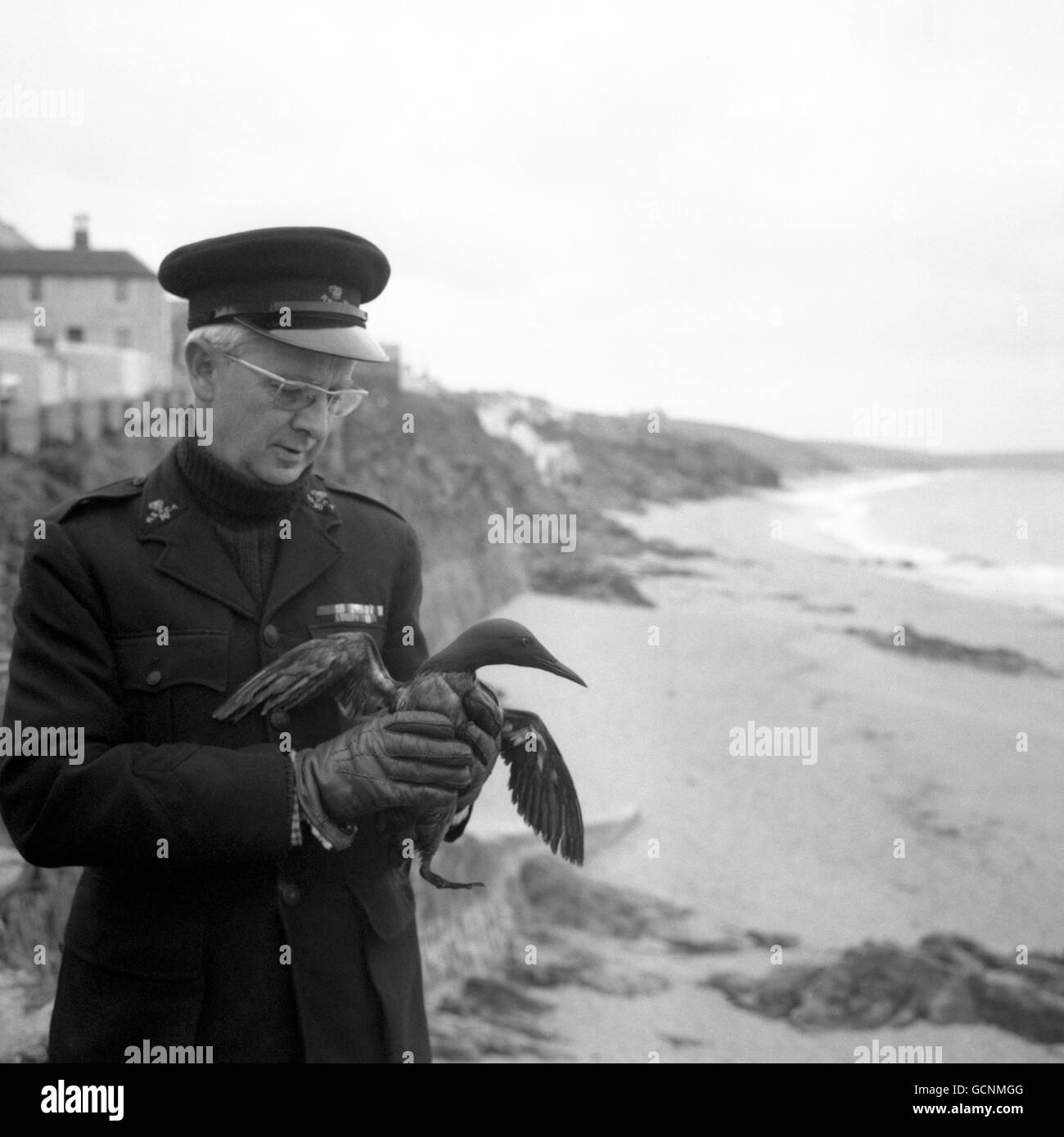 Disasters Torrey Canyon Oil Tanker Spill Cornwall Stock Photo Alamy