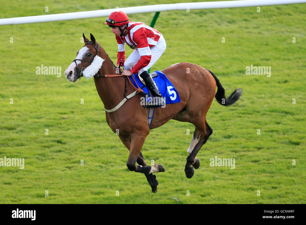Horse Racing - William Hill Gold Cup Festival - Day Two - Ayr Racecourse. Jockey James P Sullivan on Summer Soul goes to post in the Investec Structured Products Handicap Stock Photo