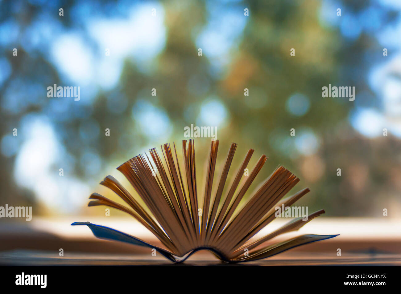 Little book close up shot with opened pages and bokeh background. Stock Photo