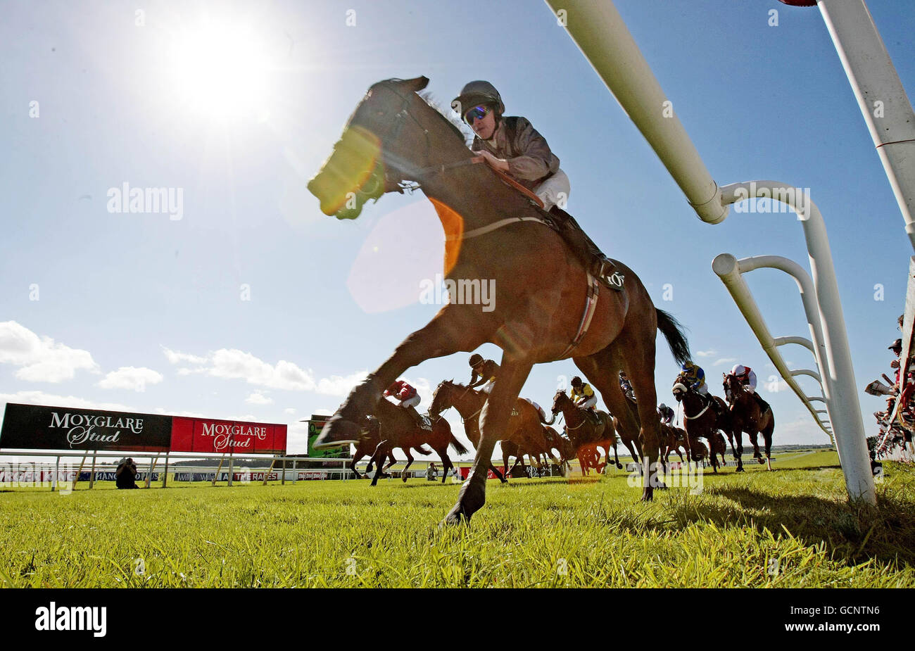 Astrophysical jet ridden by Graham Gibbons wins the Goffs Flying Five stakes at Curragh Racecourse, Ireland. Stock Photo