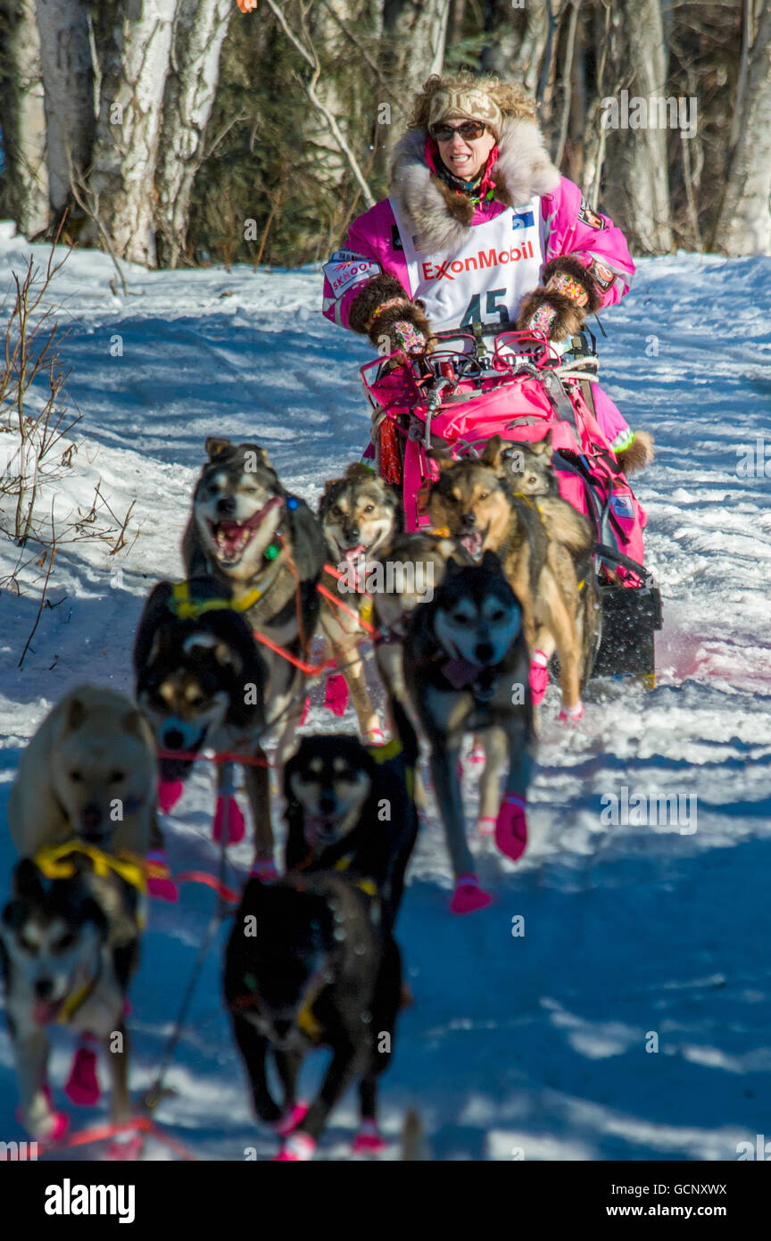 DeeDee Jonrowe and team run down the trail on Long Lake shortly after leaving the re-start in Willow, Alaska during the 2016 Iditarod Stock Photo