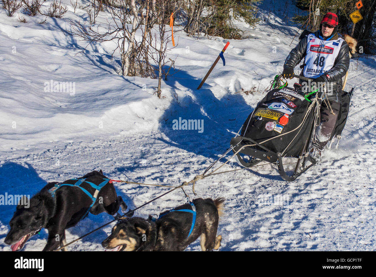 Martin Buser 2 55 race hi-res stock photography and images - Alamy