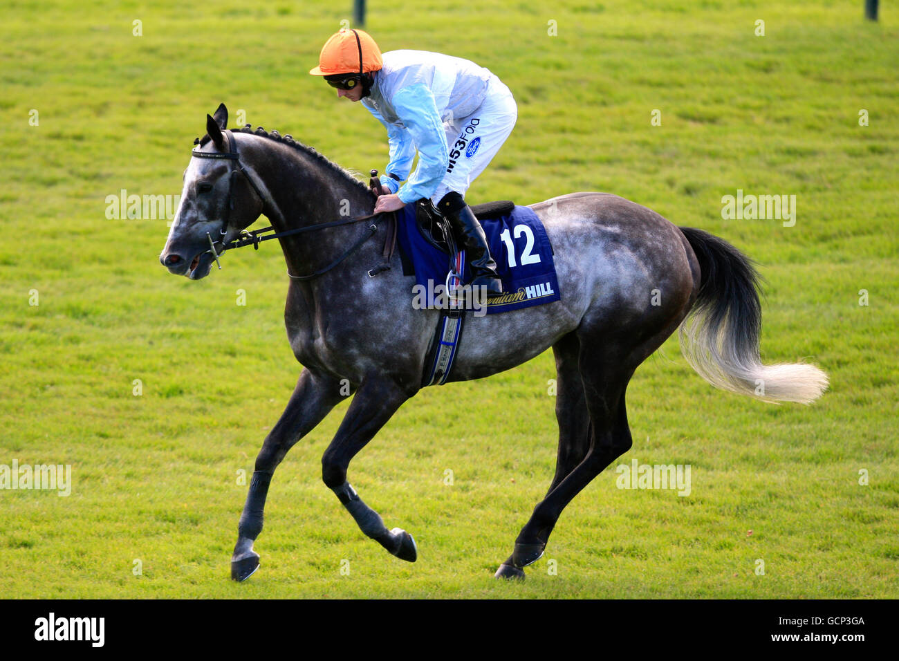 Horse Racing William Hill Gold Cup Festival Day Three Ayr