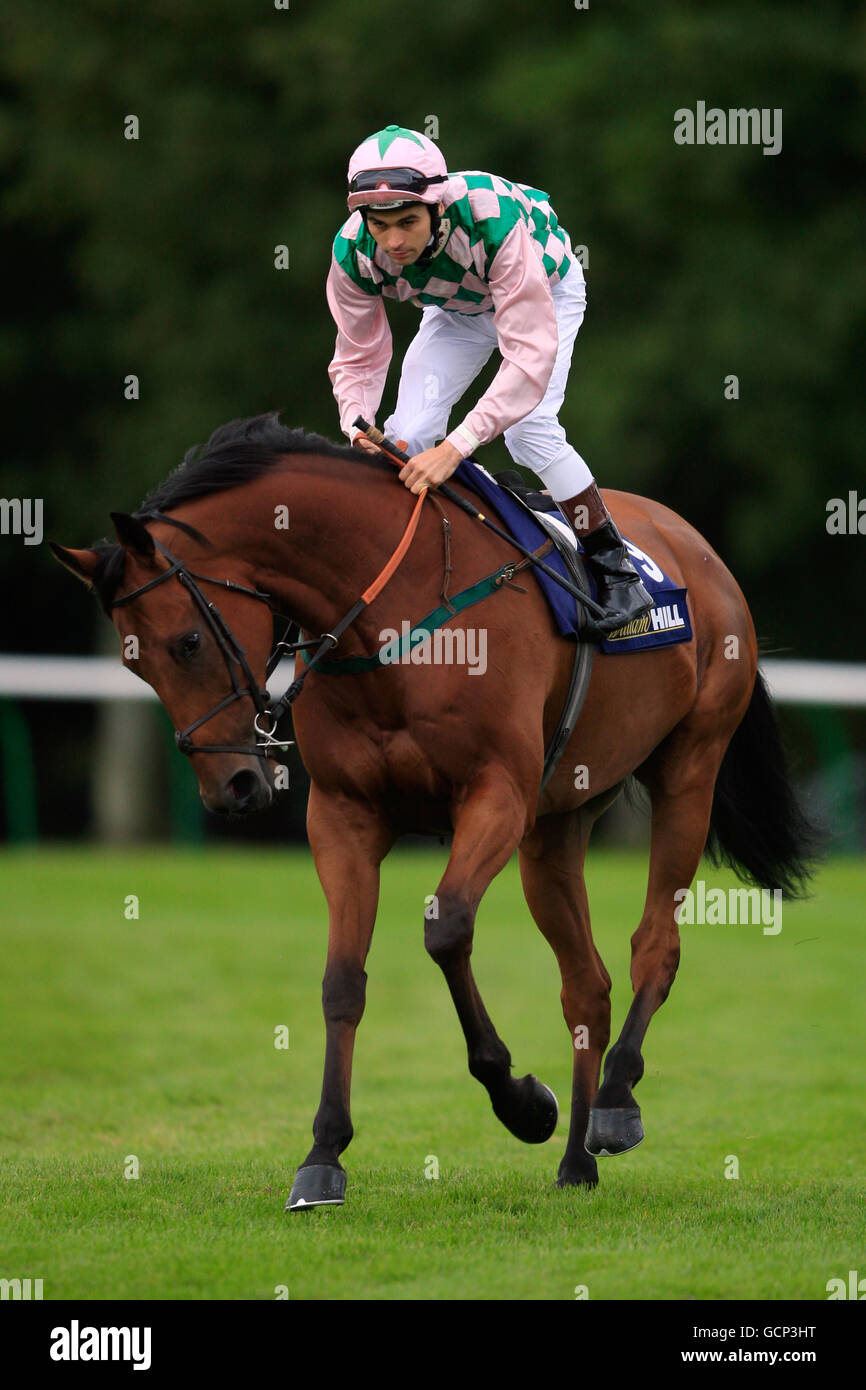 Horse Racing - William Hill Gold Cup Festival - Day Three - Ayr Racecourse. Jockey Lee Newman going to post for the William Hill Ayr Gold Cup on Flipando Stock Photo