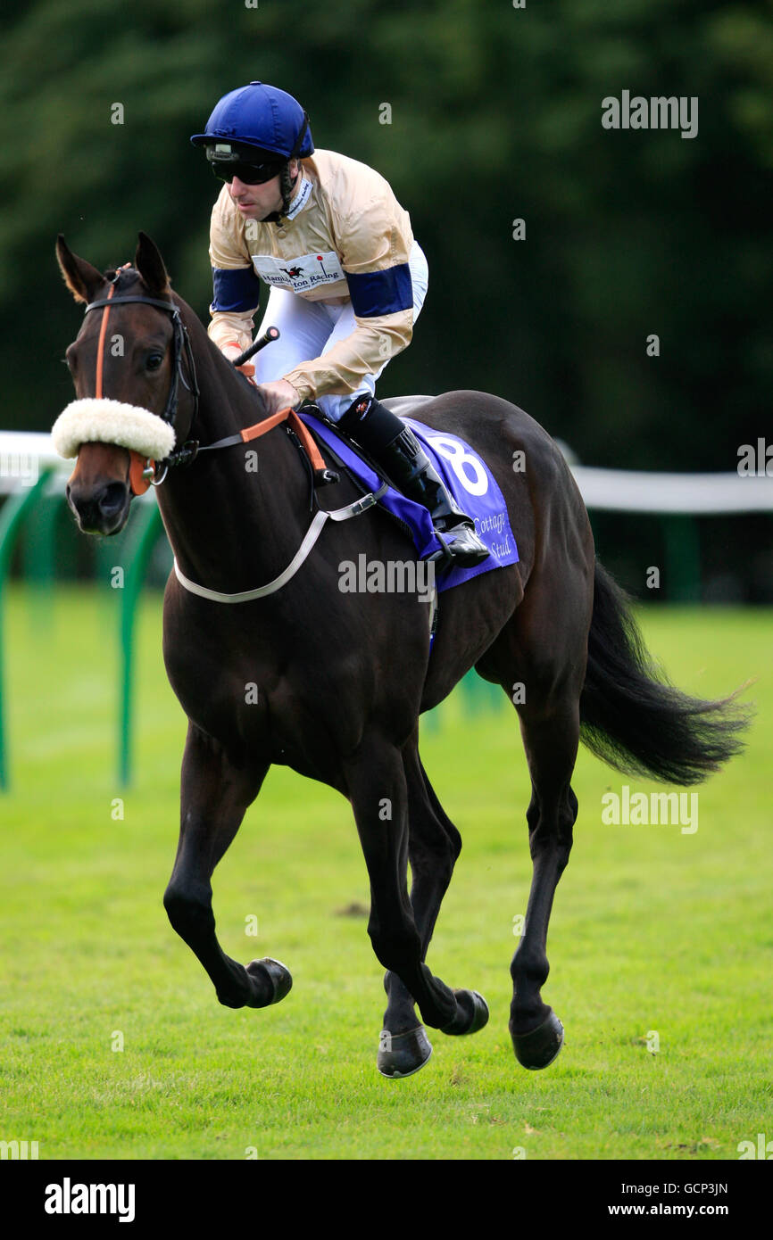 Horse Racing - William Hill Gold Cup Festival - Day Three - Ayr Racecourse. Jockey Robert Winston going to post for the Laundry Cottage Stud Firth Of Clyde Stakes on Shoshoni Wind Stock Photo