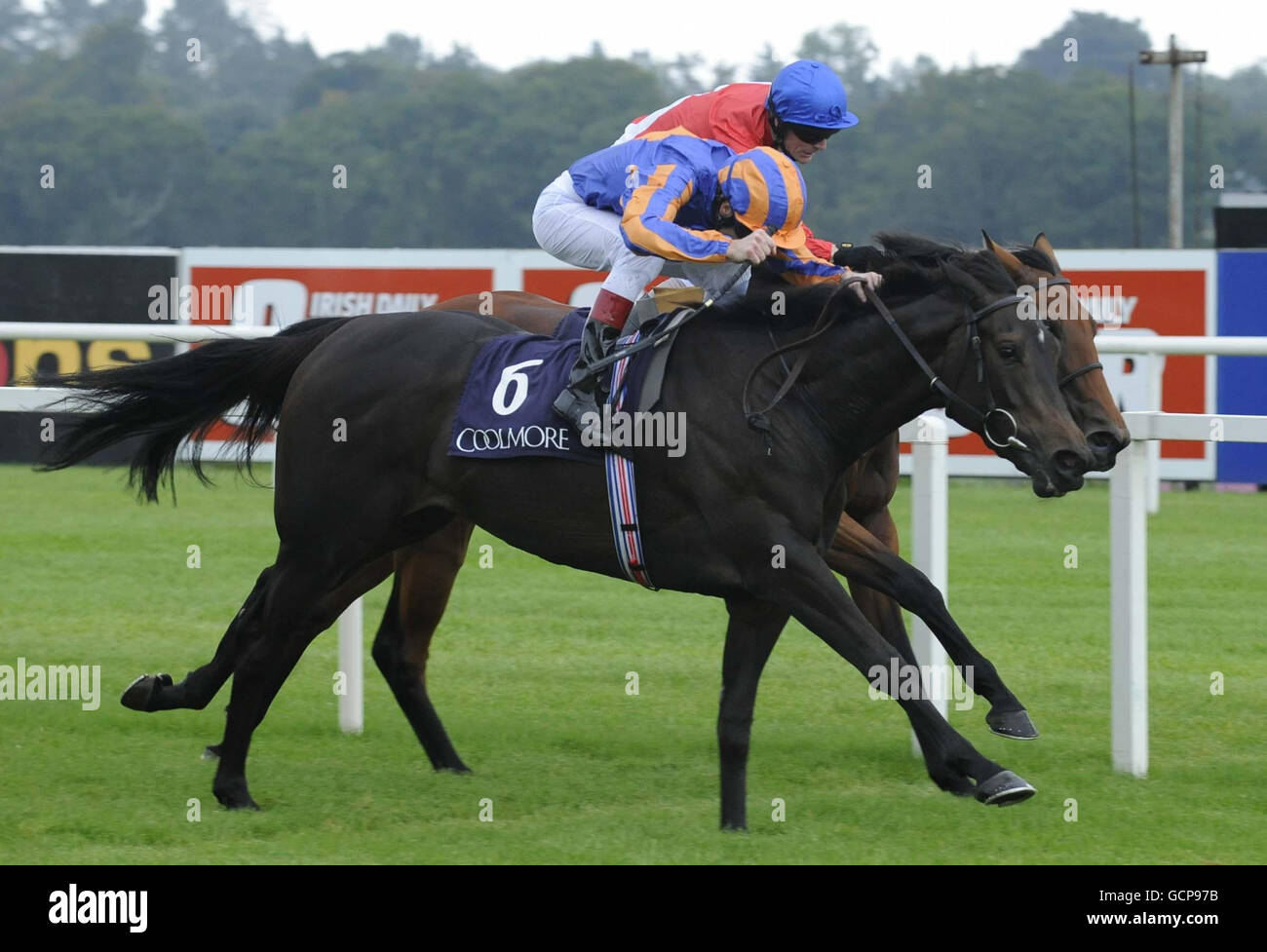 Horse Racing - Irish Champion Stakes - Leopardstown Racecourse Stock ...