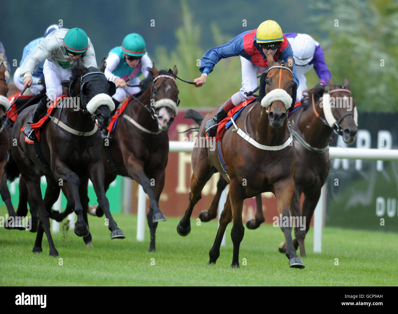 Horse - Irish Champion Stakes - Leopardstown Racecourse Photo - Alamy