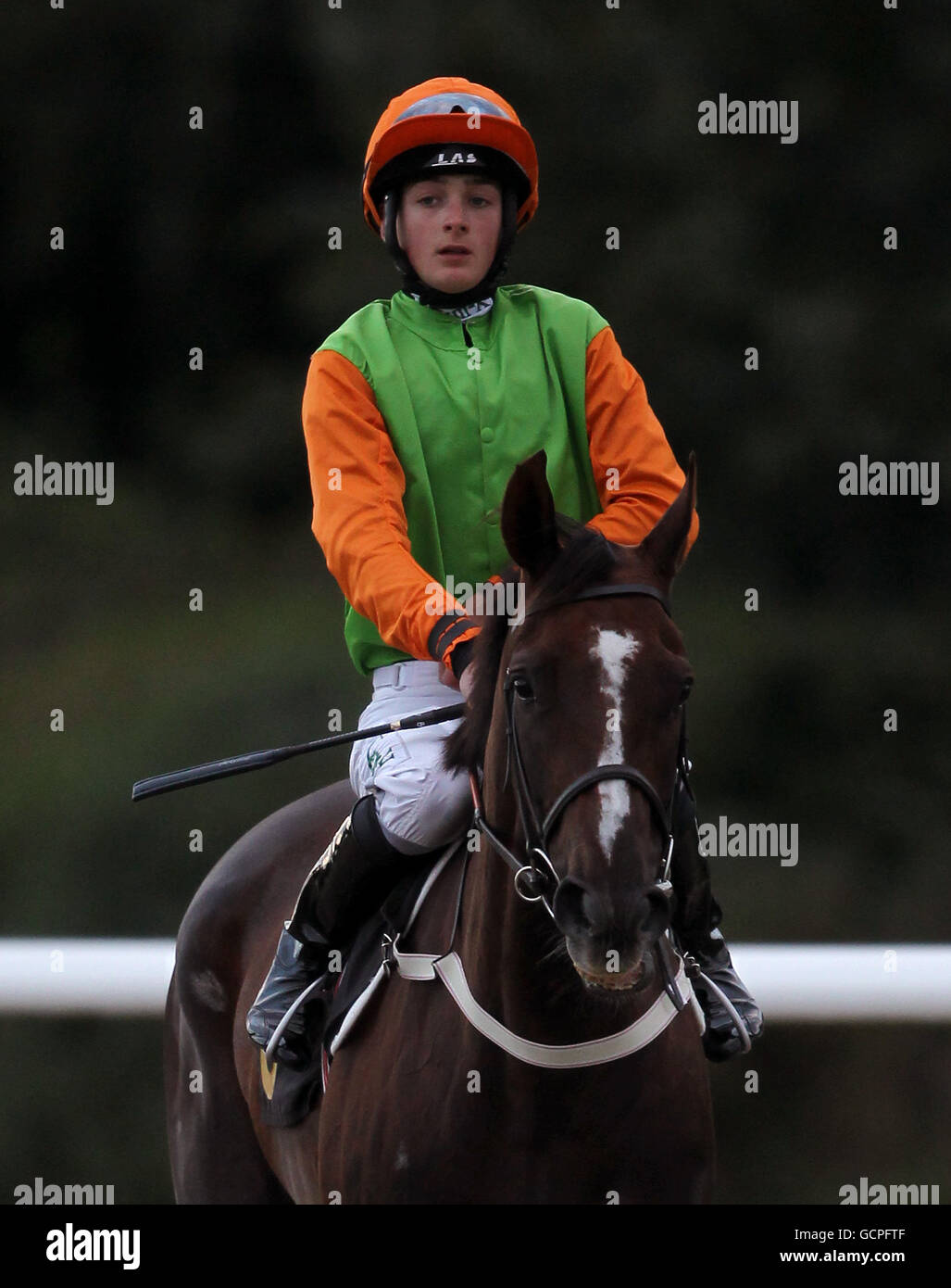 Horse Racing - Wolverhampton Racecourse Stock Photo - Alamy
