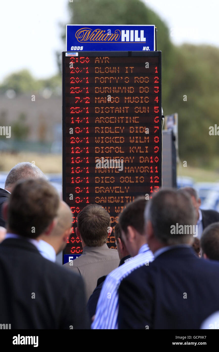 Punters check the odds at a William Hill electronic betting stand Stock