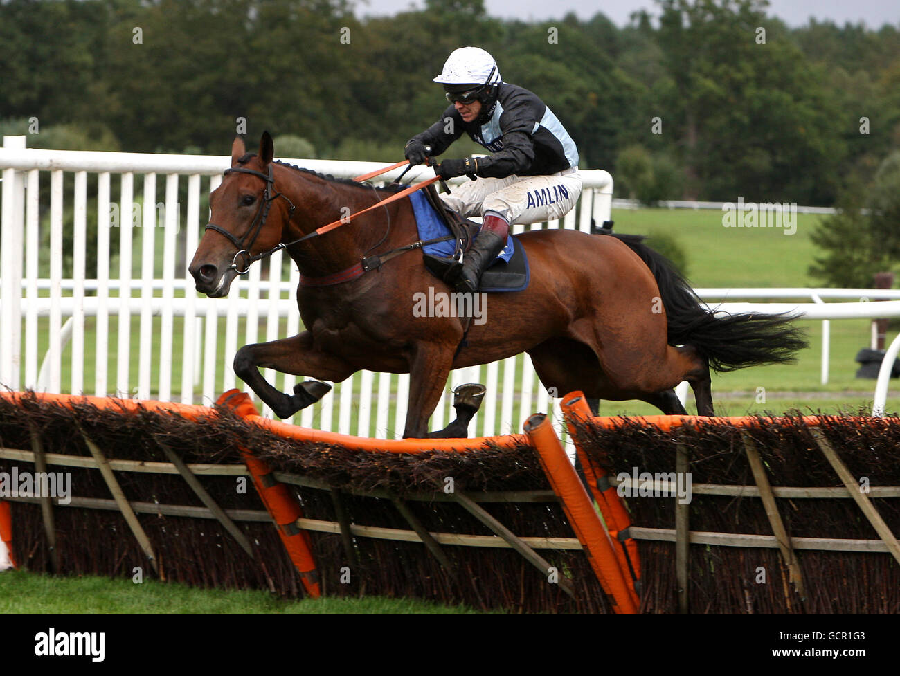 Horse Racing - FSB Family Funday - Market Rasen. Penylan Star ridden by Richard Johnson jumps the last on the way to winning The F Cross and Son novices; hurdle race Stock Photo