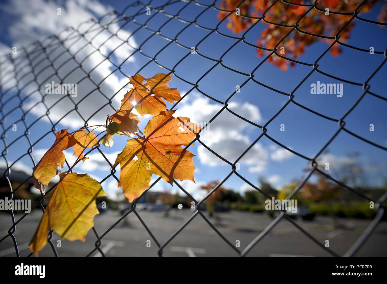 An Autumnal scene in Bristol as leaves and foliage begin to change colour. Stock Photo