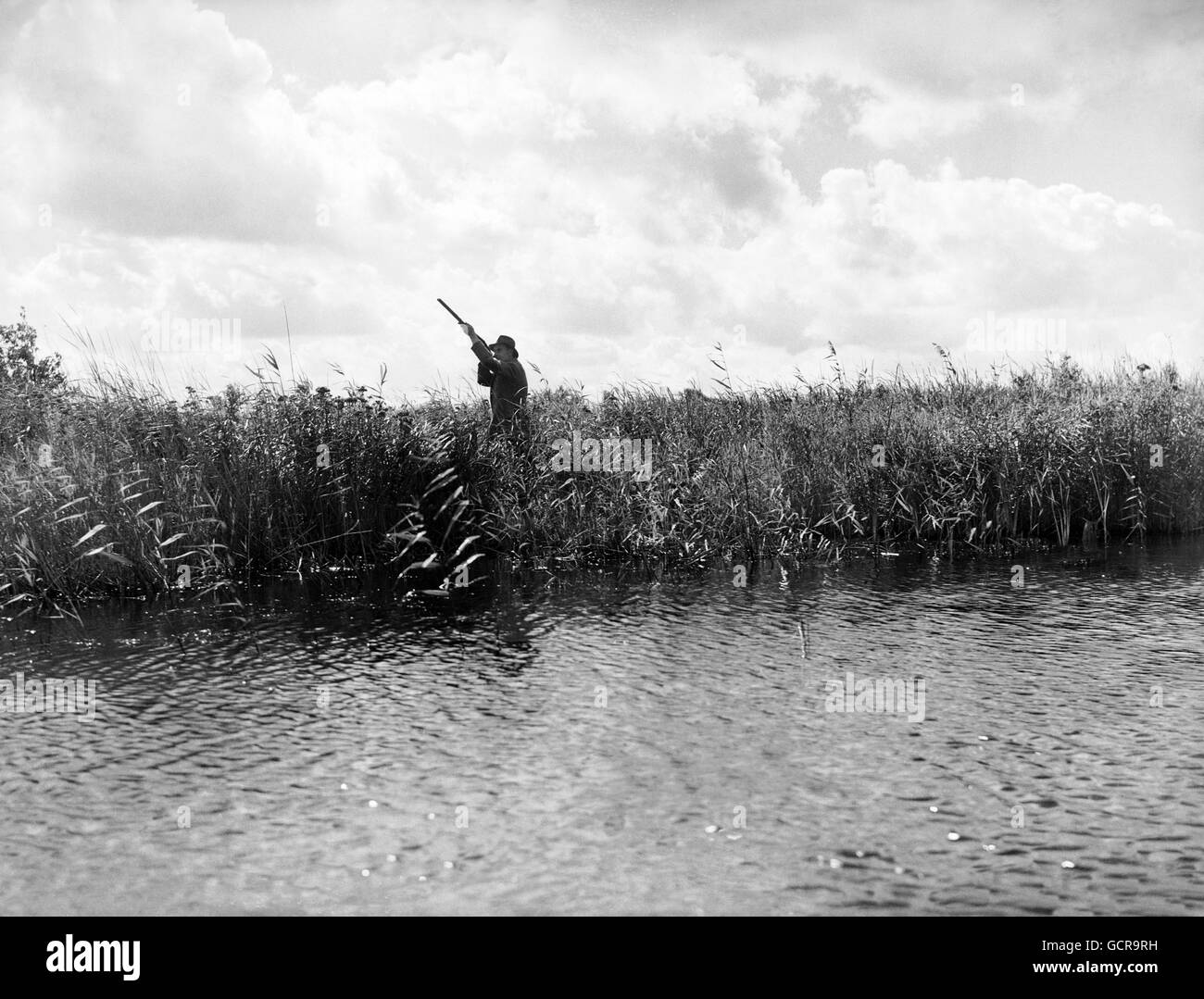 Mr Jack Malabar taking a shot at a high duck from the reeds Stock Photo