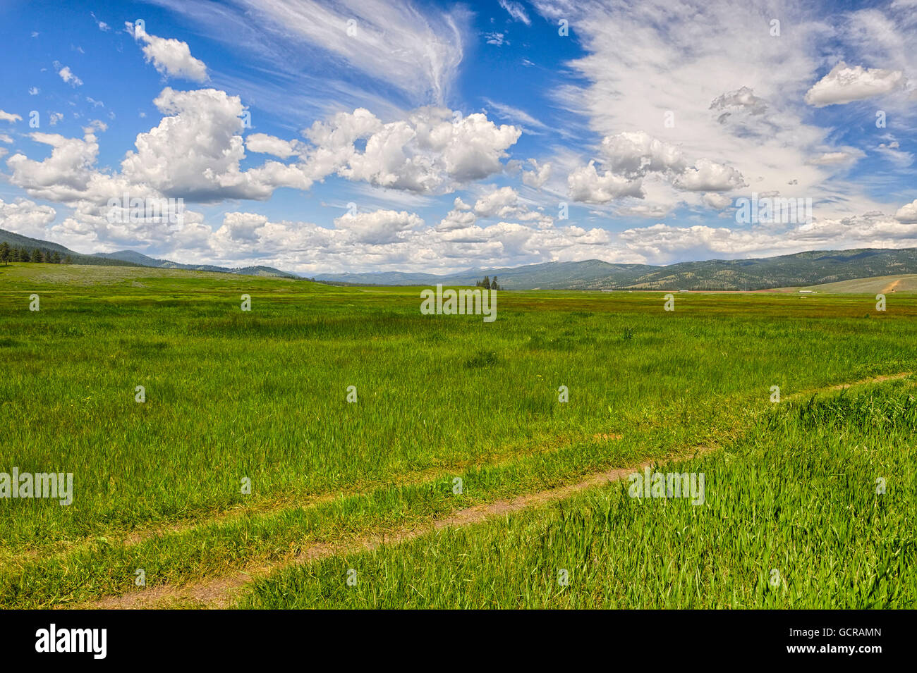 Open grasslands and big skies, Montana. Stock Photo