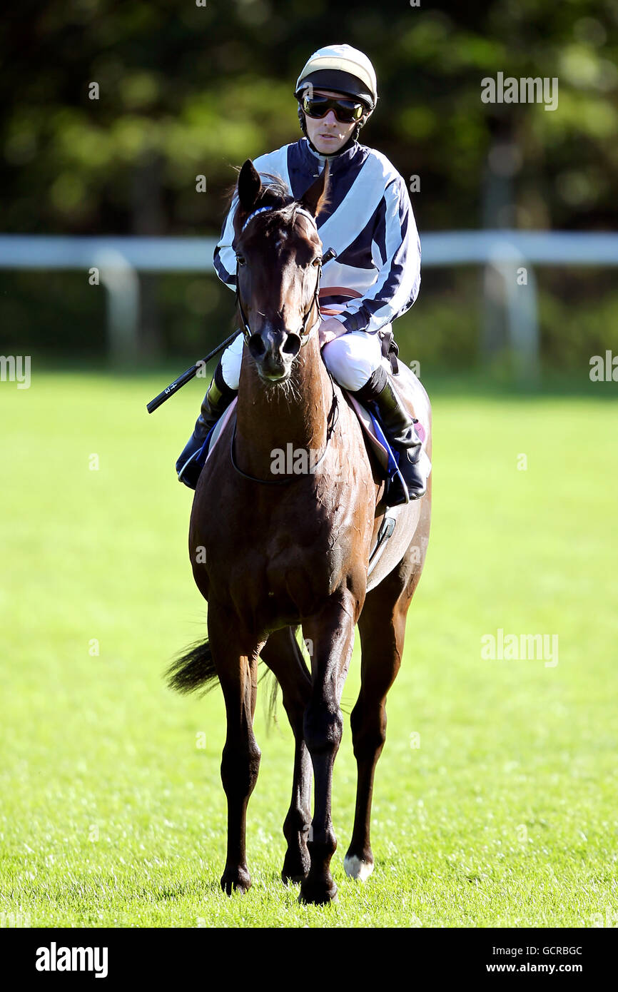 Horse Racing Nottingham Racecourse Stock Photo Alamy