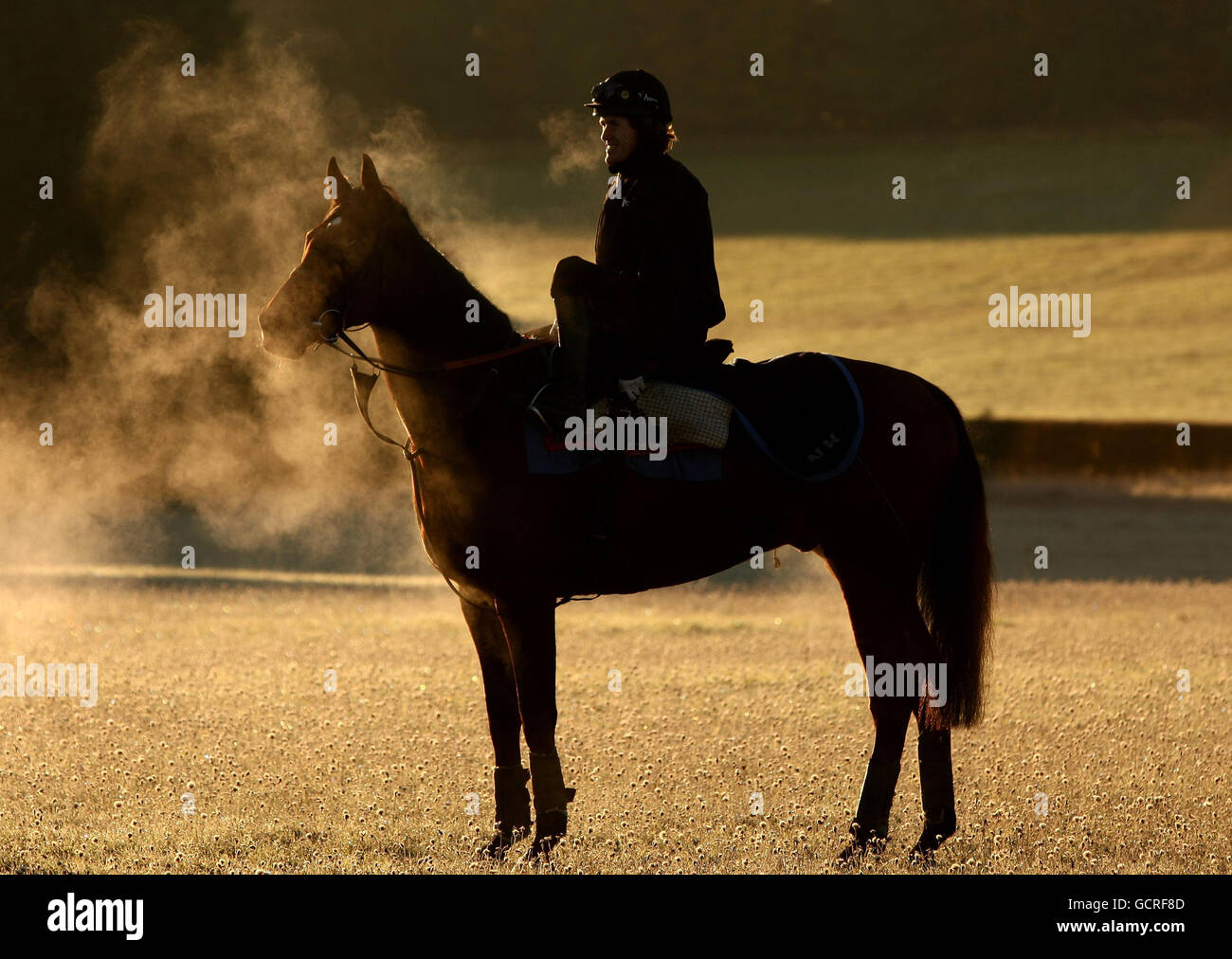 Lambourn gallops hires stock photography and images Alamy