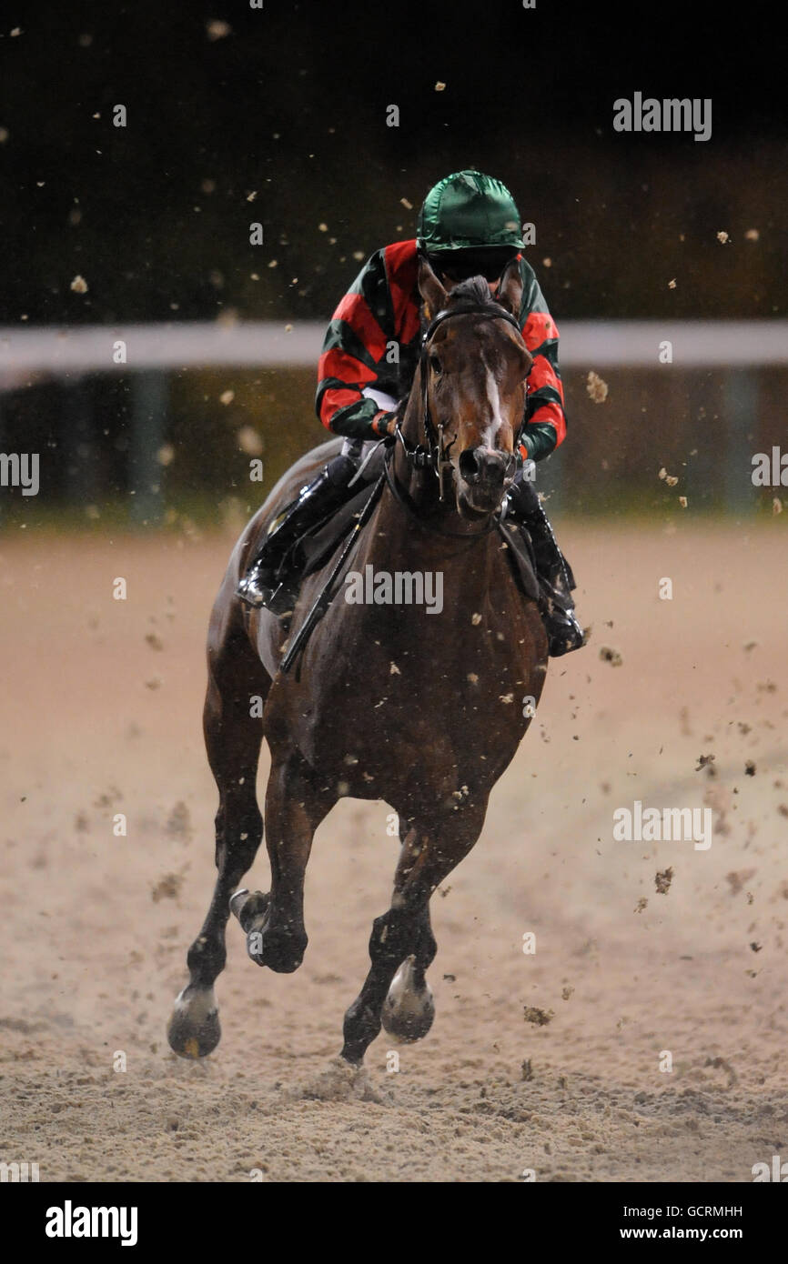 Horse Racing - Wolverhampton Racecourse Stock Photo - Alamy
