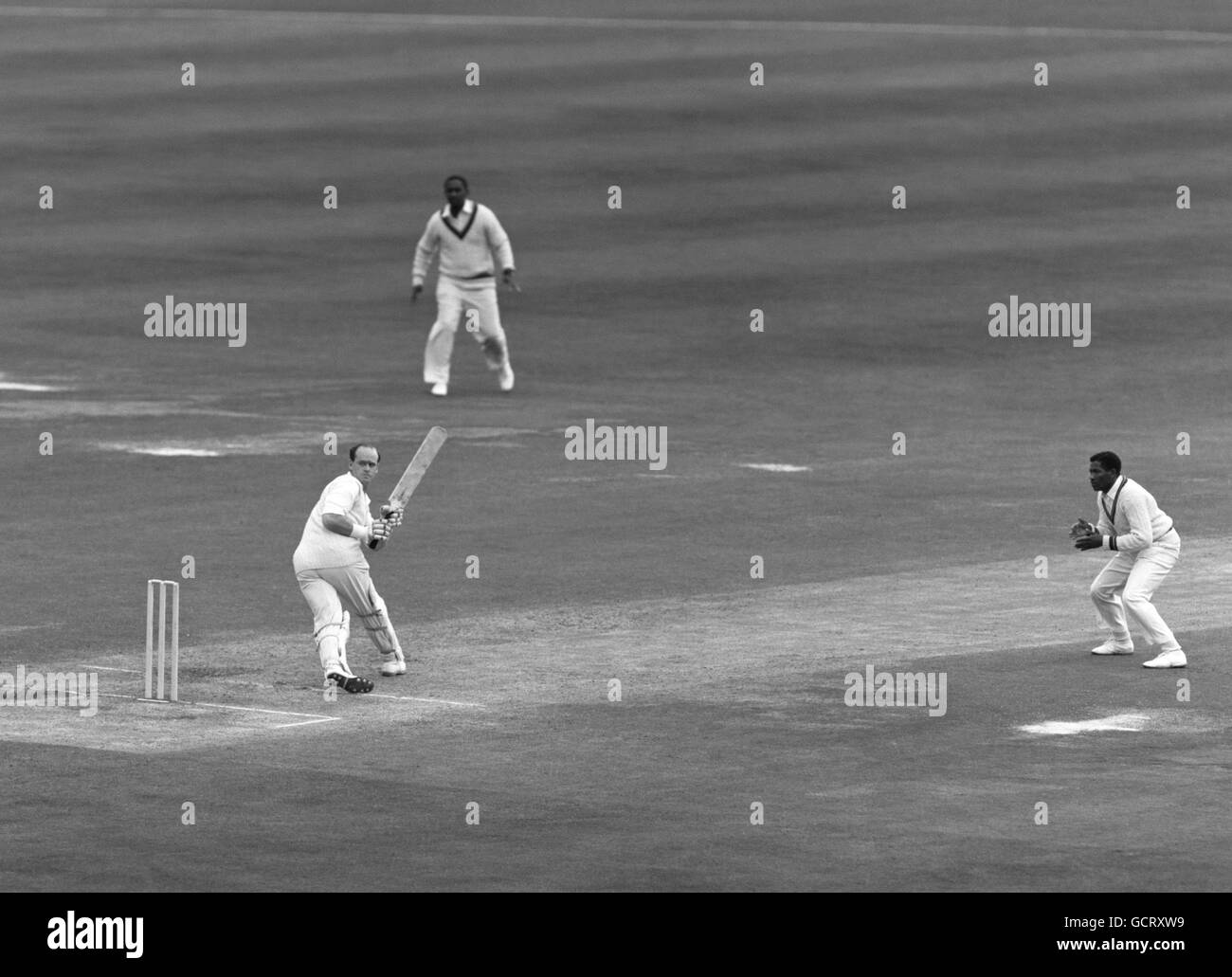 cricket-fielding-black-and-white-stock-photos-images-alamy