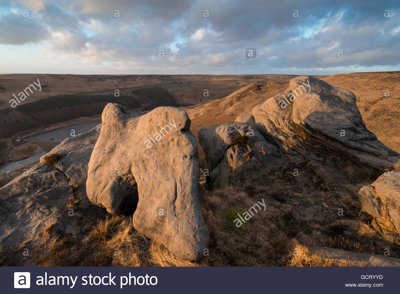 Tooth Stone Stock Photos & Tooth Stone Stock Images Alamy