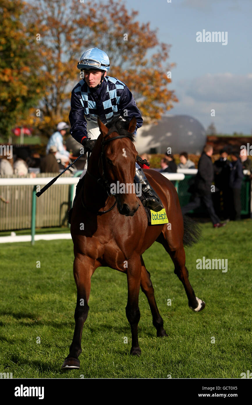 Horse Racing - Autumn Weekend - Newmarket Racecourse. Arab League ridden by Andrew Heffernan going to post Stock Photo