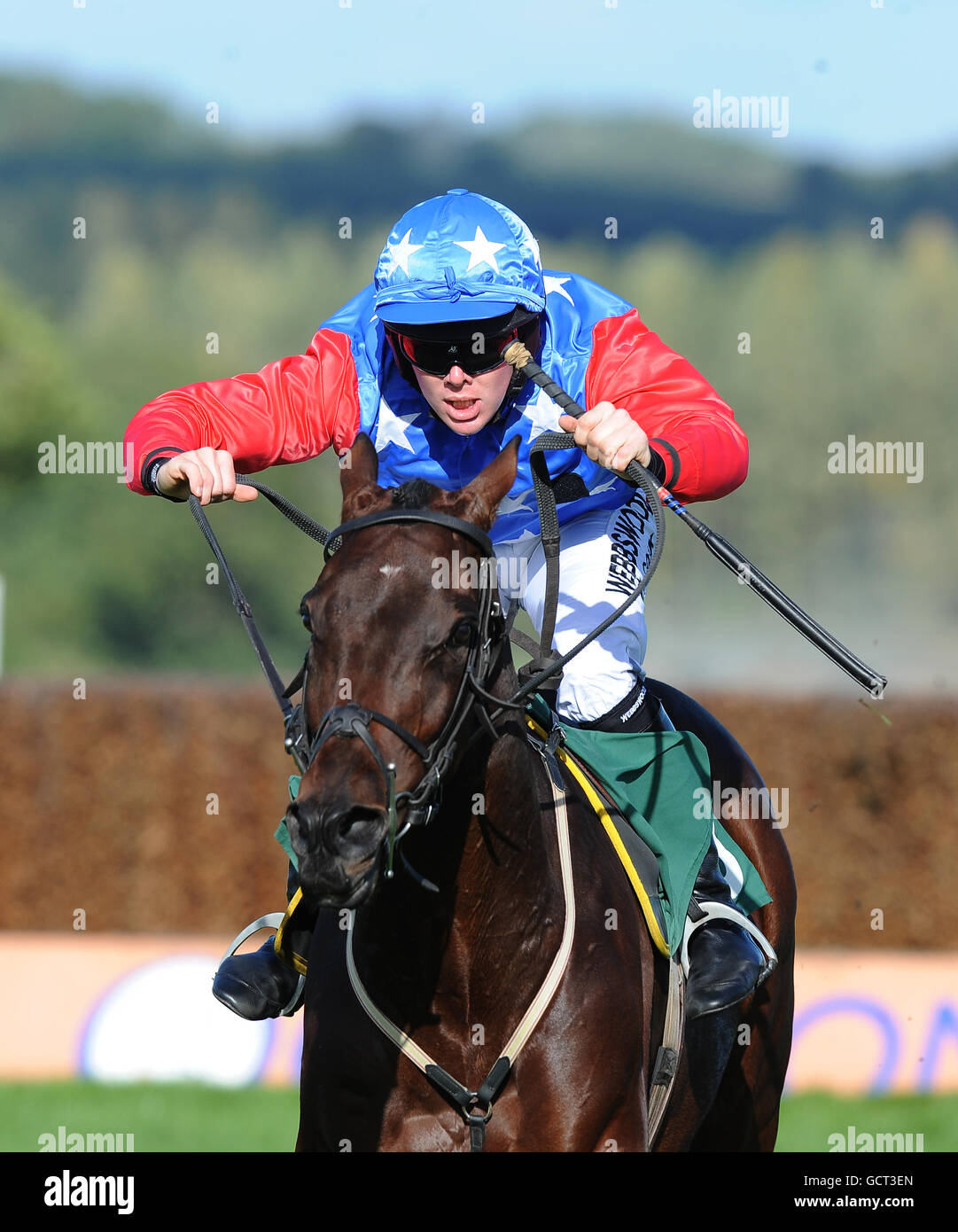 Horse Racing Towcester Racecourse Stock Photo Alamy