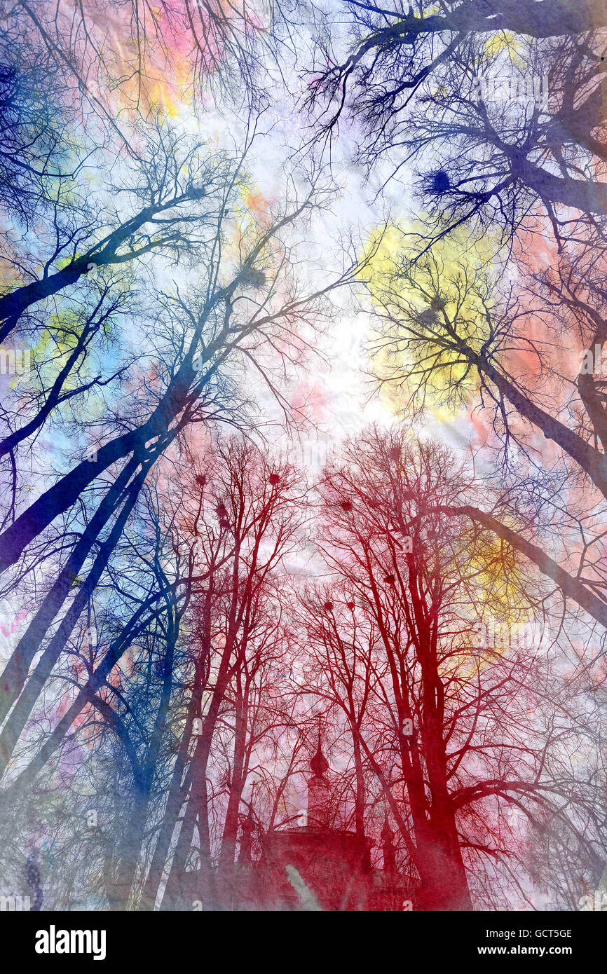 Beautiful tall trees on the background of cloudy sky Stock Photo - Alamy