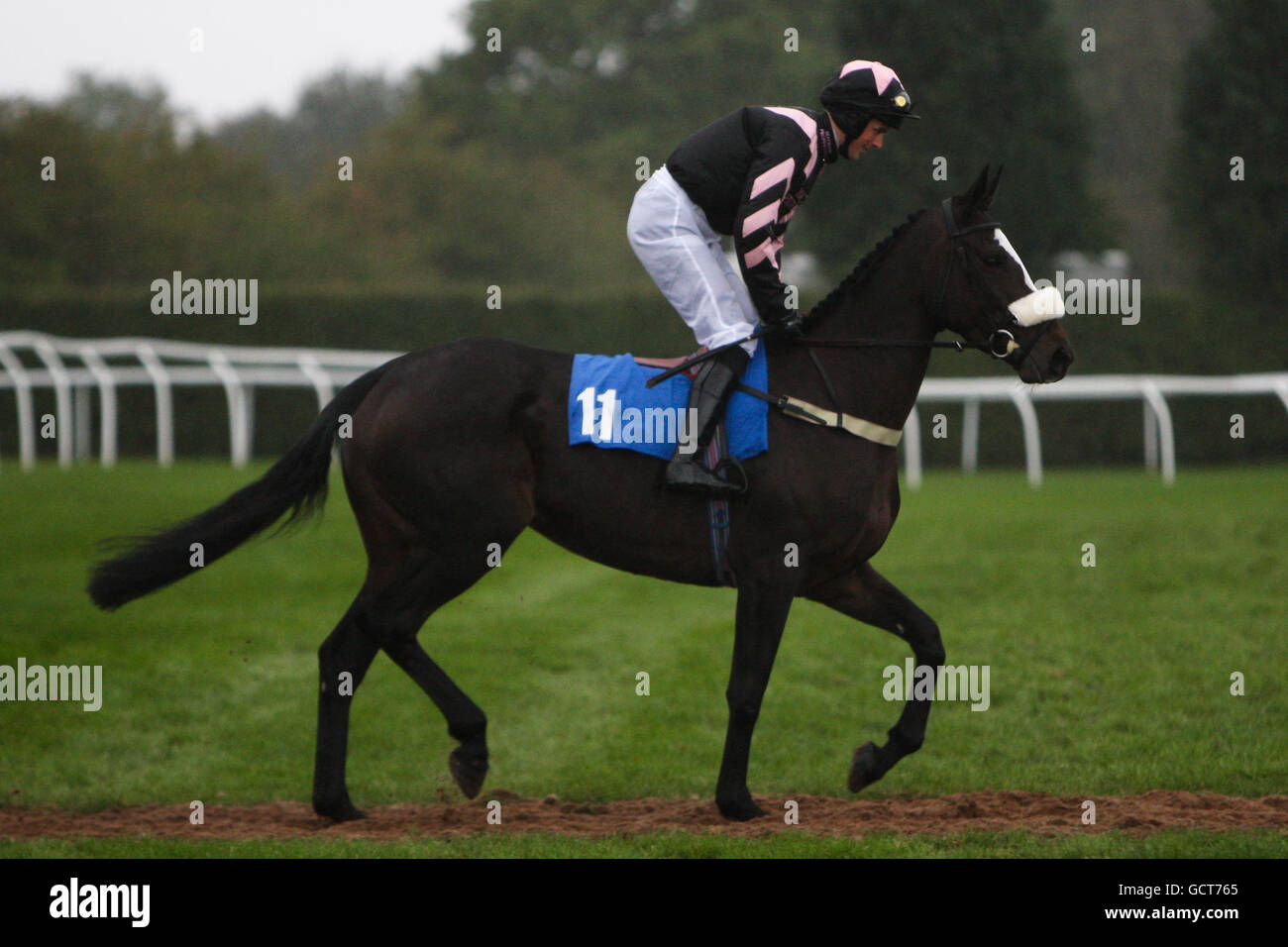 Horse Racing FSB Family Funday Market Rasen Stock Photo Alamy