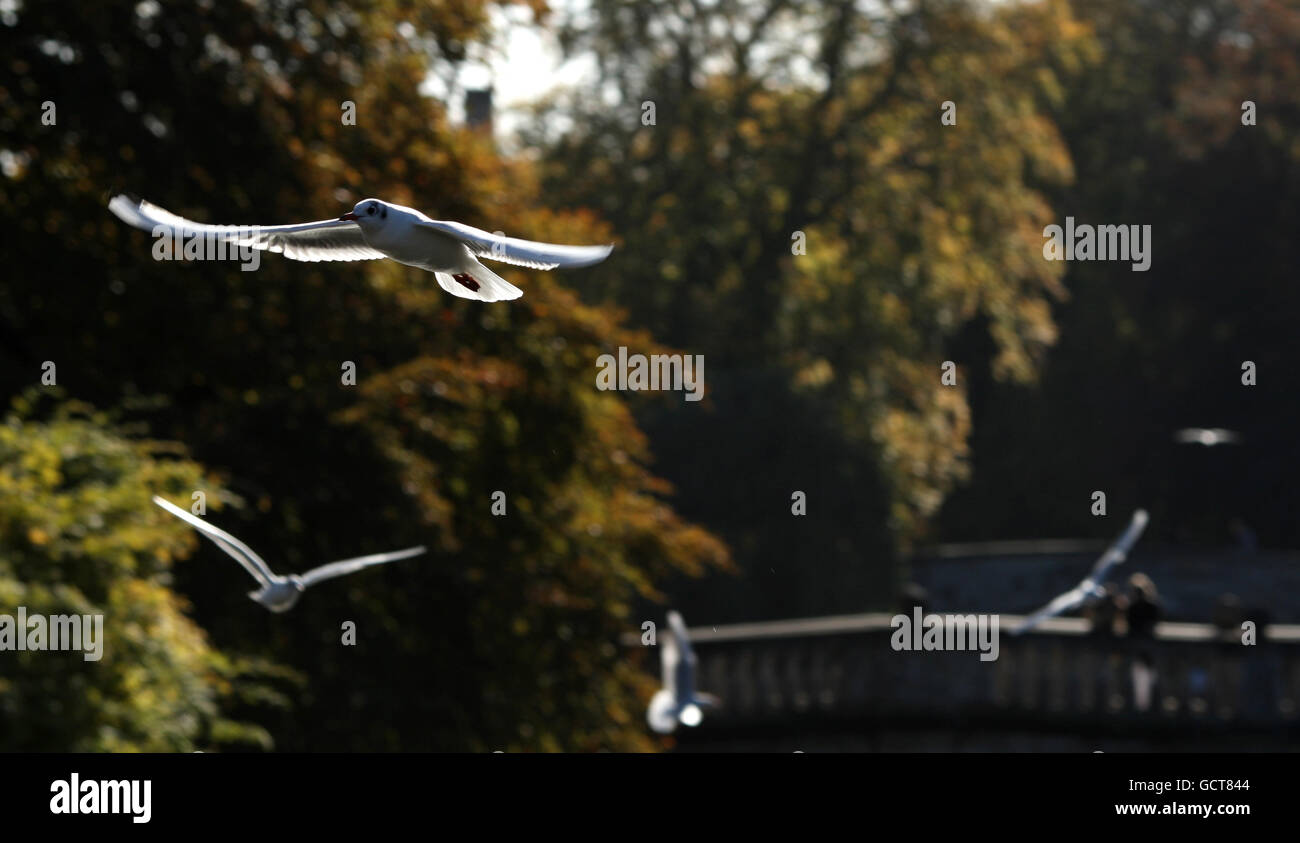 Weather on Oct 25 Patterns and Phenomena Weather on Oct 25 Patterns and Phenomena