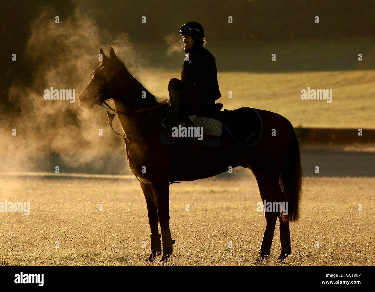 Horse Racing United Racing Media Day Oaksey House. Jockey Tony McCoy with Barbers Shop on