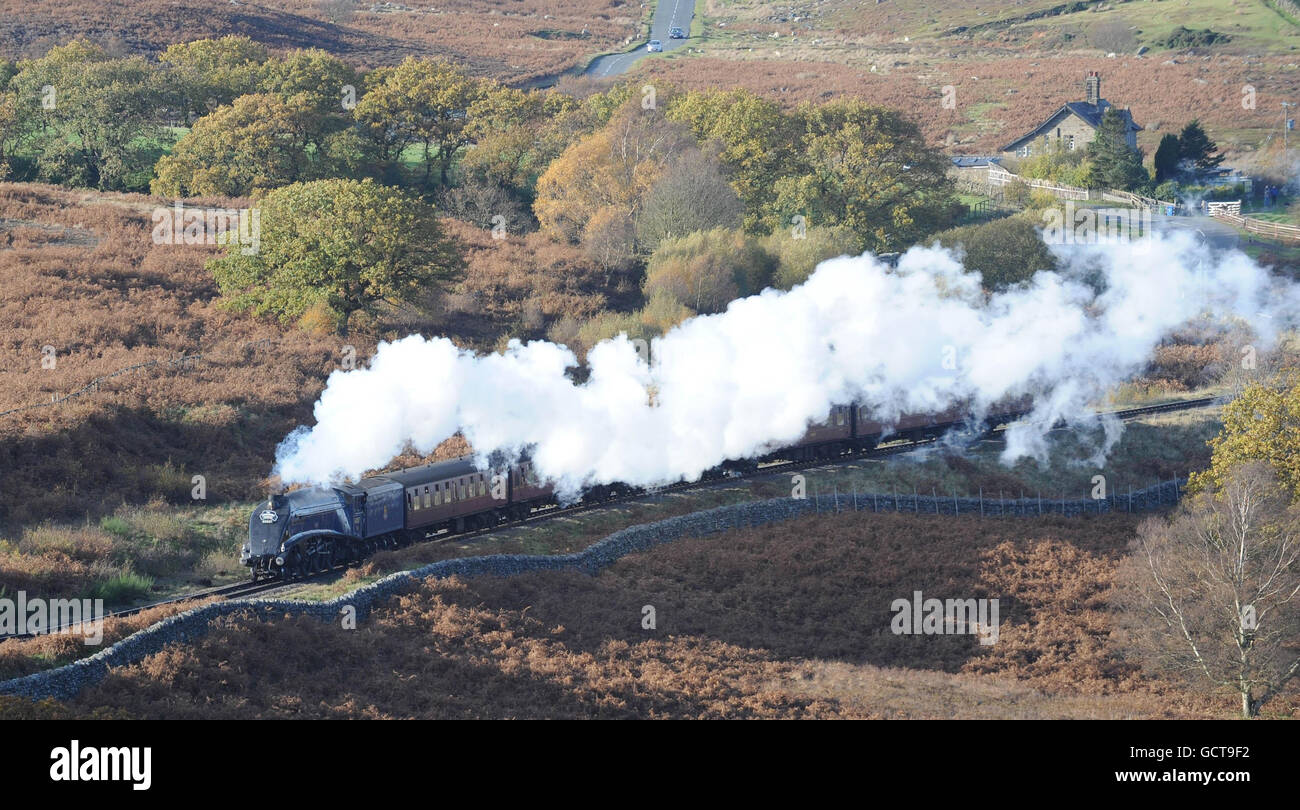 The steam engine 60007 'Sir Nigel Gresley' makes its way through the autumnal trees along the North Yorkshire Moors Railway near Goathland after several months of repair. Stock Photo