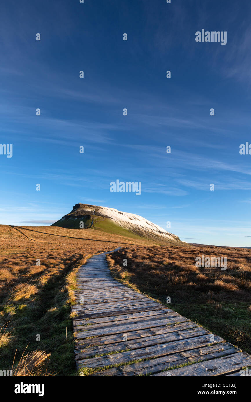 Pennine Way National Trail crosses boggy ground on timber boardwalk on route to Pen-y-ghent, Yorkshire Dales National Park, UK Stock Photo