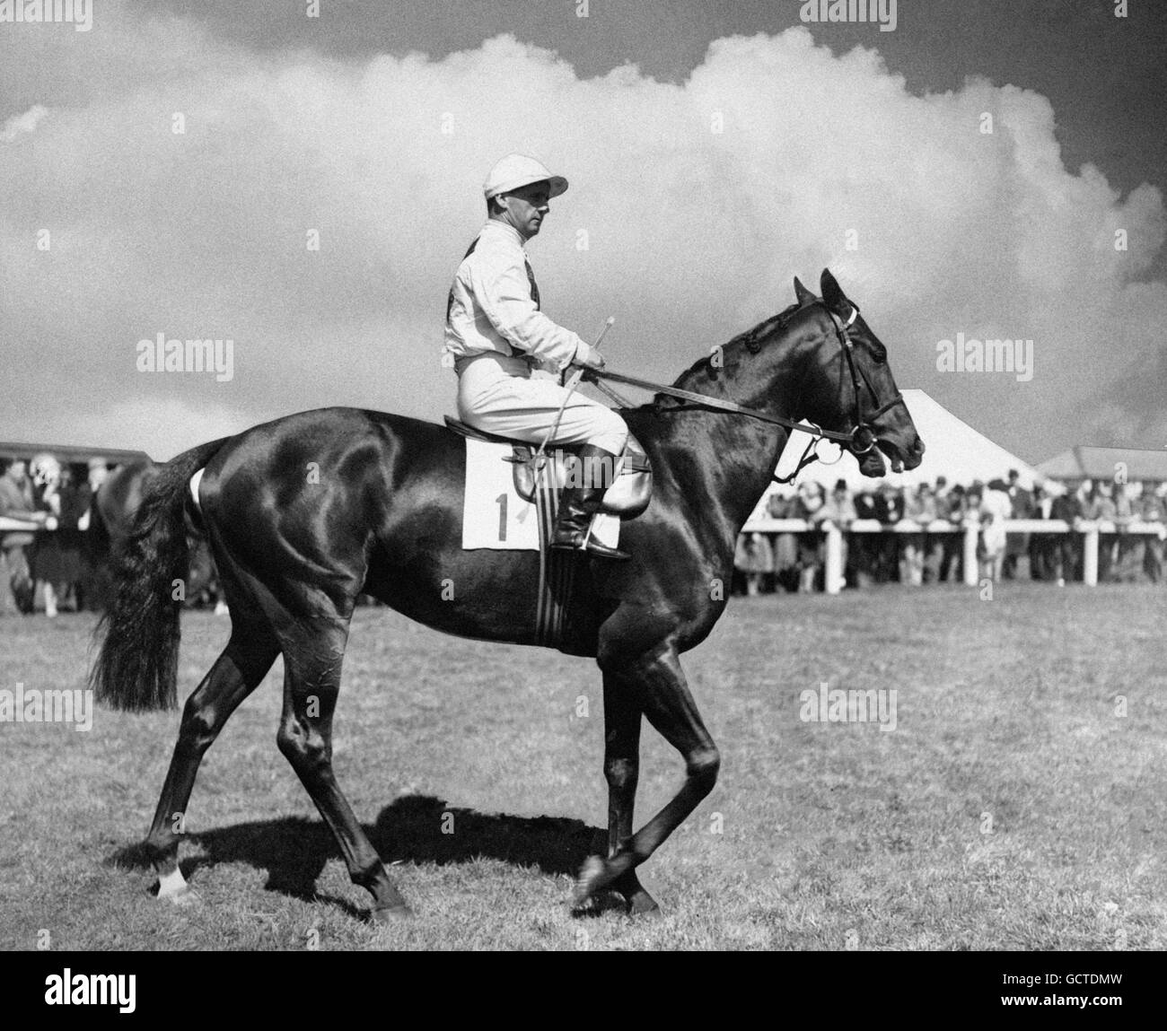 Bath racecourse Black and White Stock Photos & Images Alamy