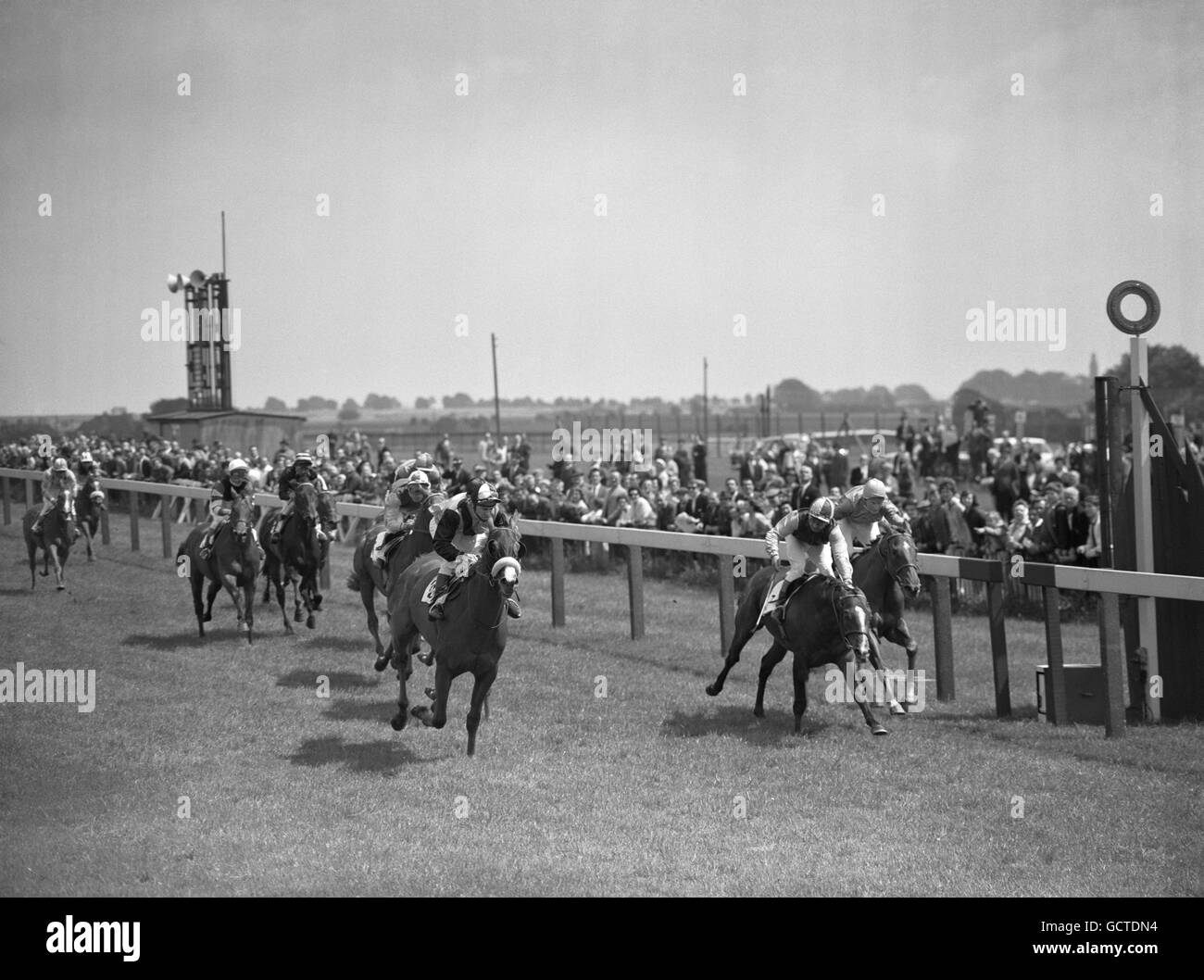 Sky Diamond, no 10, Brian Jago up, left, winning from Hanstown Boy, no 7, D Keith up, and Measure, 15, ridden by D Yates. Stock Photo