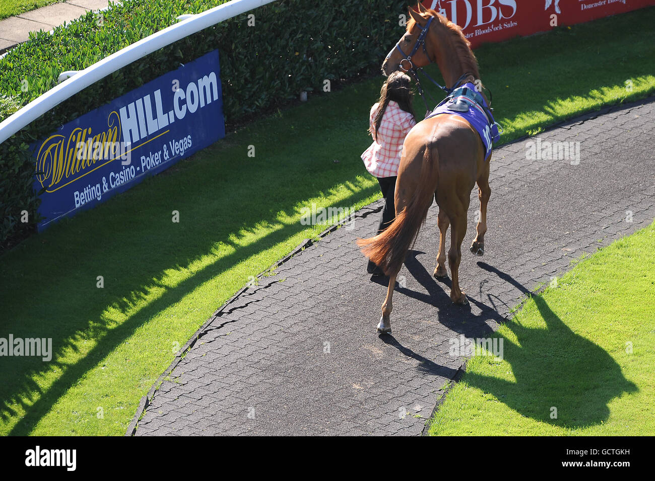 A general view of the parade ring at kempton park hi-res stock ...