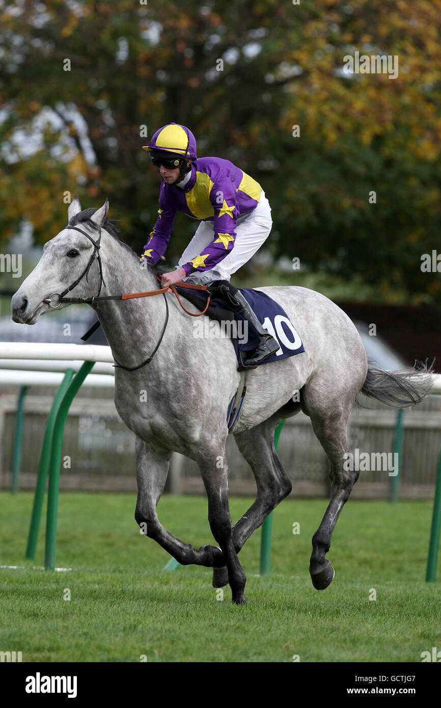 Horse Racing - Newmarket Racecourse Stock Photo - Alamy