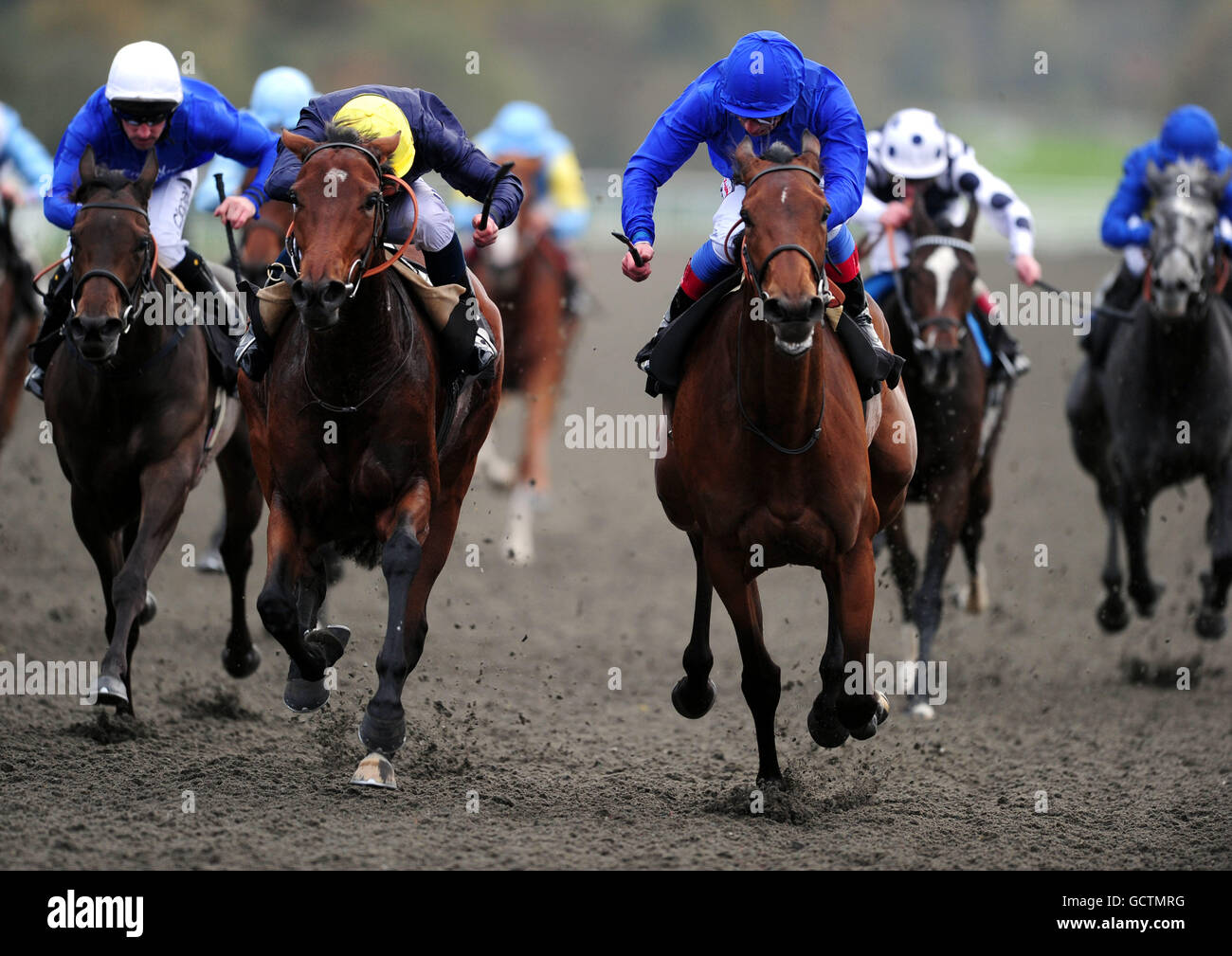 Frankie Dettori (blue) riding Baila Me comes home to win the E.B.F. Cockney Rebel First Crop Success River Eden Fillies' Stakes Stock Photo