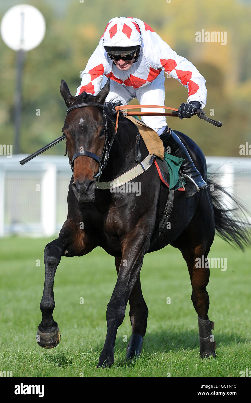 Jockey David Bass on Machu Picchu during the PP Business Improvement Handicap Steeple Chase Stock Photo