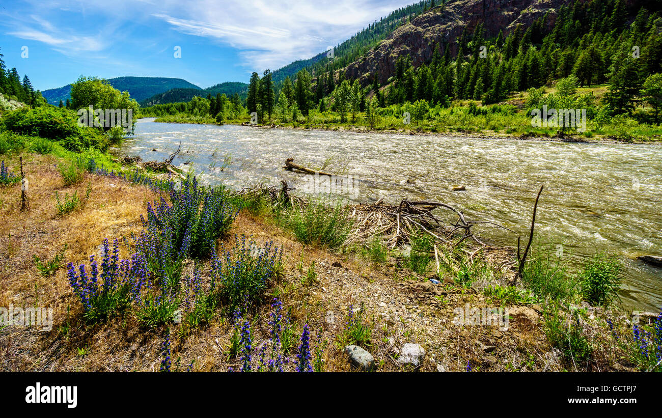 The Nicola River as it flows to the Fraser River along Highway 8 from the town of Merritt to the