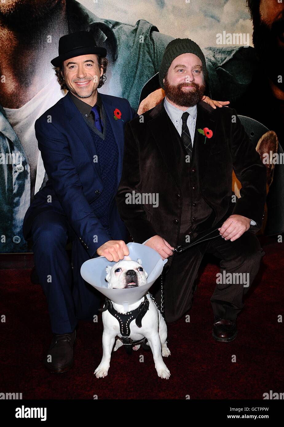 Robert Downey Jr. (left) and Zach Galifianakis (right) with Balu