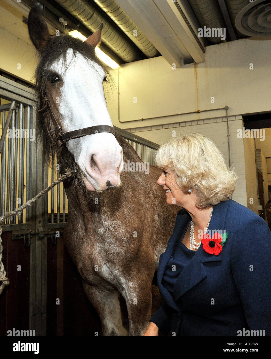 Camilla visits Household Cavalry regiment Stock Photo - Alamy