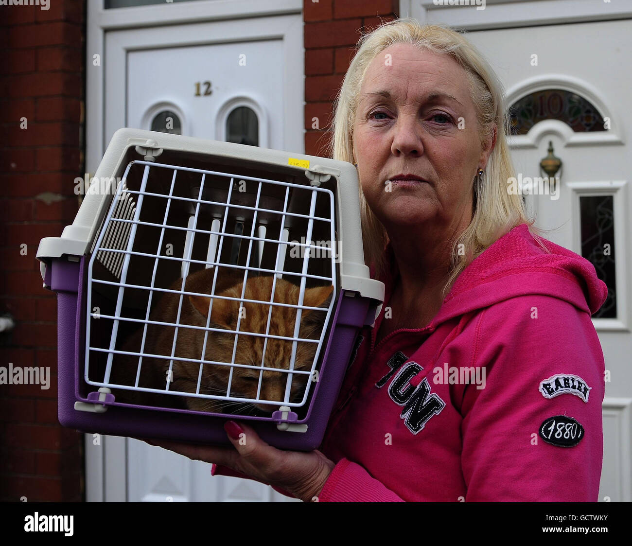 The family cat which survived a house fire in bridlington hires stock photography and images